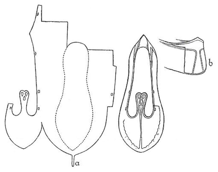Fig. 3. Shoe: Type 1. National Museum S.A. 4: 1926. Unlocalised.