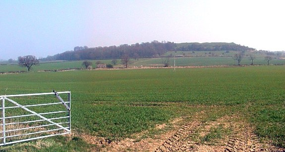 Burrough Hill as seen today.