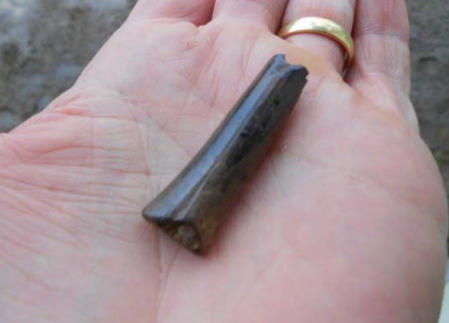 Highly polished bone flute from an Iron Age pit.